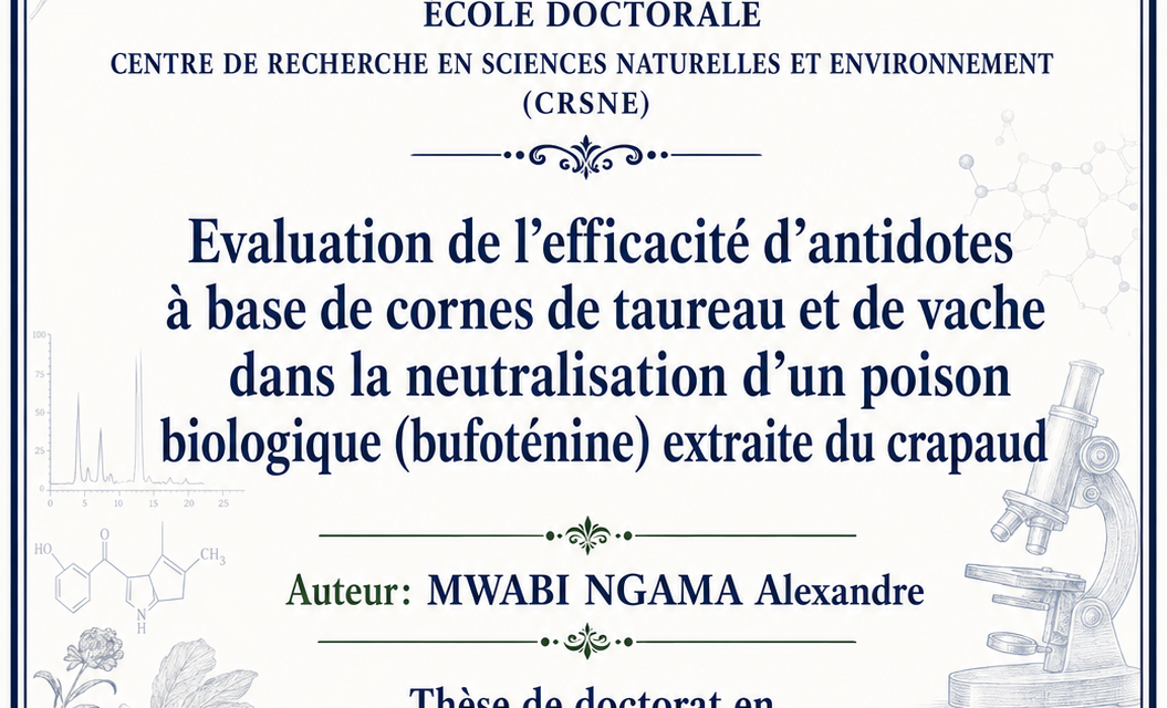 MWABI NGAMA Alexandre