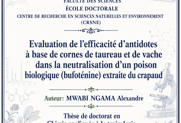 MWABI NGAMA Alexandre